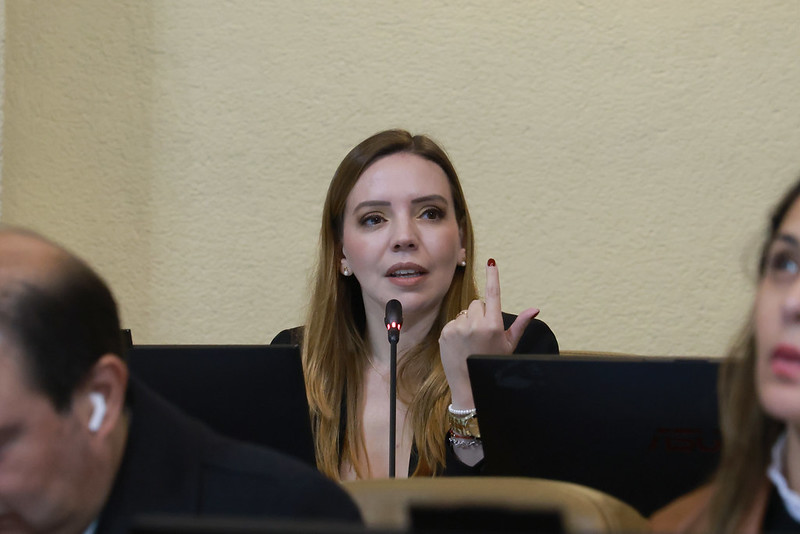 Diputada Flores propone crear brigadas de tránsito a nivel escolar