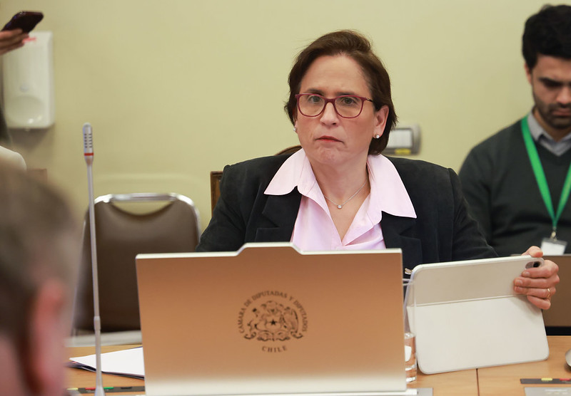 Subsecretaria de Prevención del Delito, Carolina Leitao