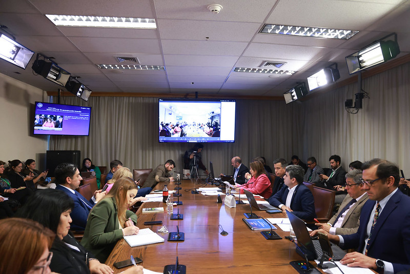 votan informe reconstrucción incendios 2024