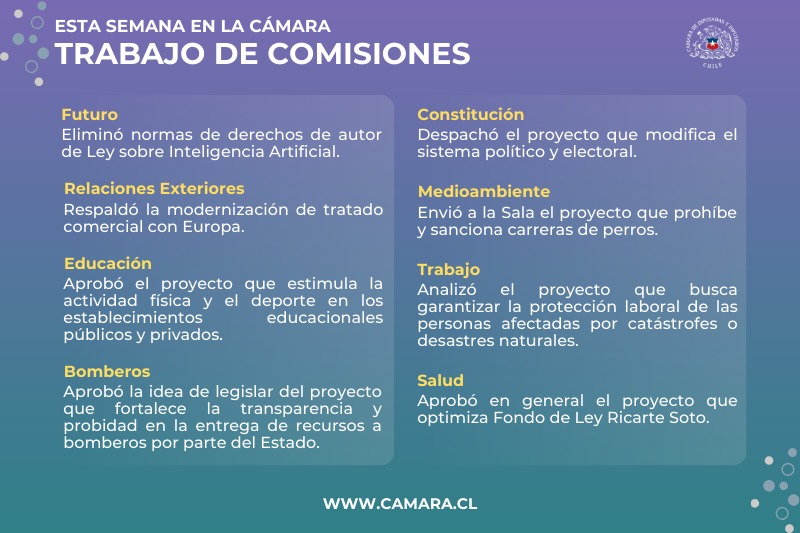 Más actividad física en colegios analizaron las comisiones