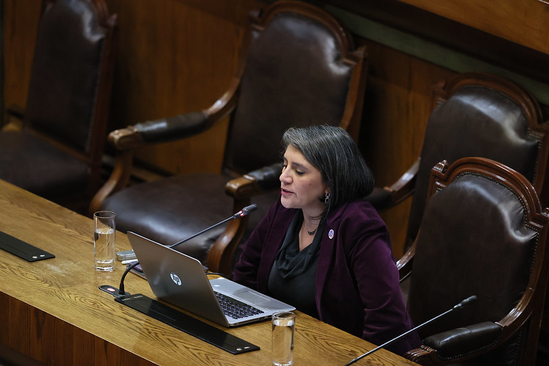 Ministra (S) de Desarrollo Social
