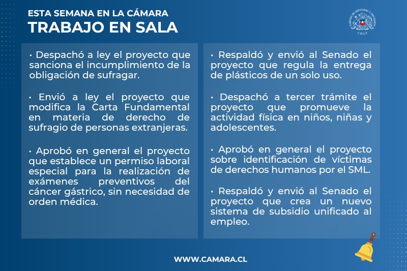 Lámina resumen del trabajo de la Sala de la Cámara