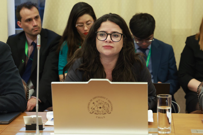 Ministra Antonia Orellana participa en la Comisión de Salud donde se analiza proyecto que regula la interrupción voluntaria del embarazo.