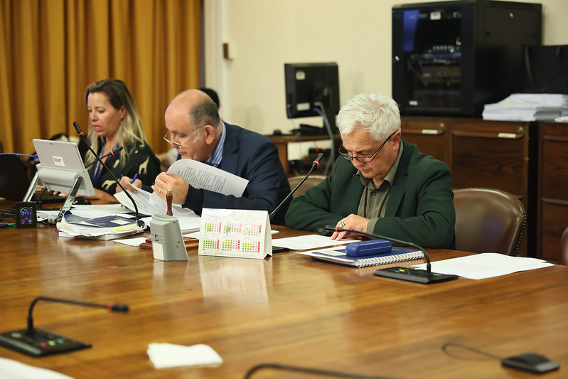 CEI aprueba informe que propone reestructurar el sistema de licencias médicas