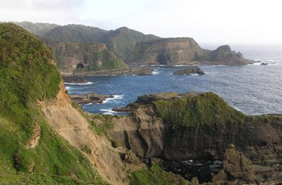 Ubicada al suroeste de la Isla Grande de Chiloé, en el sector del Golfo del Corcovado, Isla Guafo destaca por su importancia ecológica, con una gran diversidad de mamíferos marinos y aves acuáticas.
 